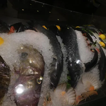 Palace & La Conchiglia D' Oro מלון 4*