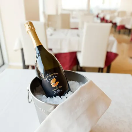 Palace & La Conchiglia D' Oro ויצ'נצה