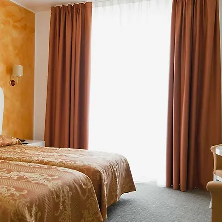 Palace & La Conchiglia D' Oro מלון