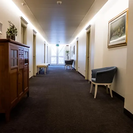 ホテル Palace & La Conchiglia D' Oro 4*