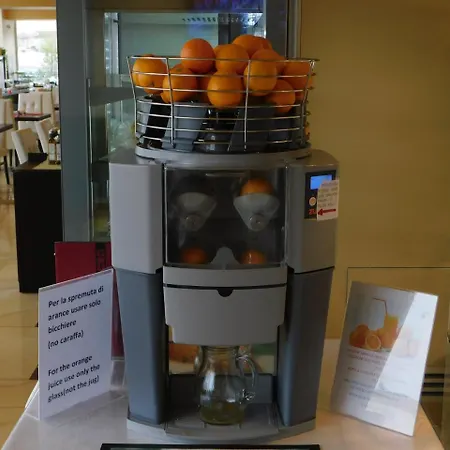 ホテル Palace & La Conchiglia D' Oro 4*