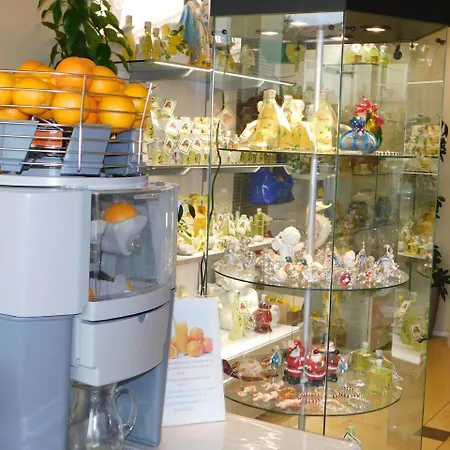 Ξενοδοχείο Palace & La Conchiglia D' Oro 4*